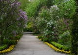 UW Botanical Garden