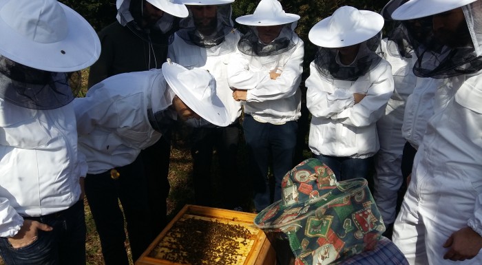 Beekeeping workshops