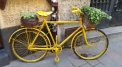 La Bicicletta