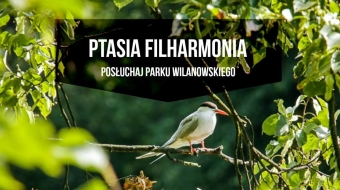 Bird philharmonic. Audio workshops for adults.