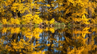 Jesienna wycieczka po Parku Wilanowskim