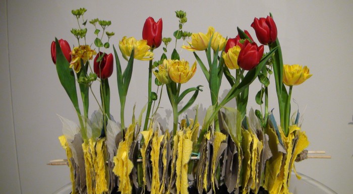 VIII Wystawa Tulipanów