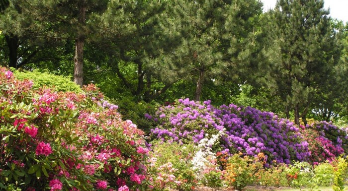 PAN Botanical Garden