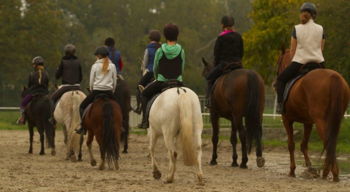 Horse riding lessons at Partynice